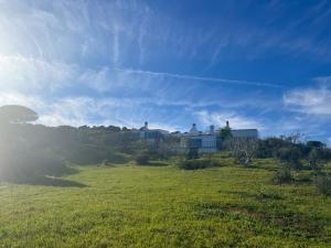 a house on a hill in a field at Nature&Soul - Sol in Vila do Bispo