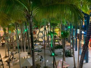 un groupe de palmiers dans un centre commercial dans l'établissement Design District Wynwood Studio, à Miami