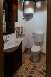 La salle de bains est pourvue de toilettes blanches et d'un lavabo. dans l'établissement Holiday home in Srednje Grcevje - Kranjska Krain 26095, à Srednje Grčevje