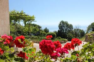 Zahrada ubytování Apartments with parking spaces Opric, Opatija - 7753