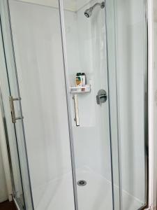 a shower in a bathroom with a glass door at Modern Upstairs Apartment in Dunedin Central in Dunedin