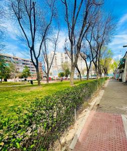 una fila de árboles en un parque con una acera en Madrid Loft duplex en Madrid