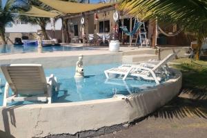 una piscina con un oso polar y un barco en el agua en La casa del Argentino en Hawaii