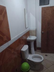 a bathroom with a toilet and a sink at 420 Route's Backpackers in Nazca