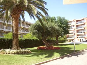 two palm trees in a park in front of a building at Apartamentos Alquihouse Vilafortuny in Cambrils