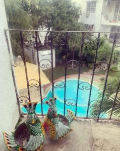 カンクンにあるBonita casa Moon Penthouse en Cancúnのプールを望むバルコニーに立つ孔雀2つ