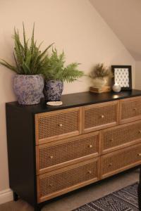 a cabinet with two plants on top of it at Cornish country getaway in Callington