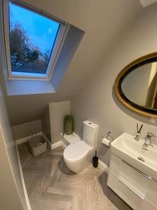 a bathroom with a toilet and a sink and a mirror at Cornish country getaway in Callington