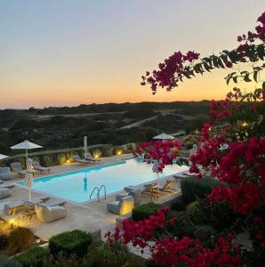 una gran piscina con tumbonas y flores rosas en Sea Swell Villas at Santa Maria, en Santa Maria