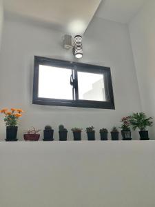 Foto sihtkohas Jiaoxi asuva majutusasutuse Daiwen Homestay galeriist
