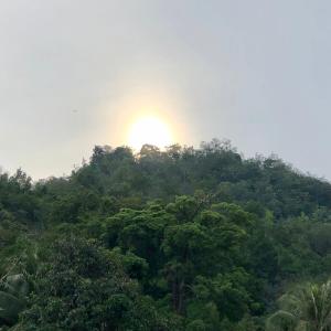 um pôr do sol sobre o topo de uma floresta em LUMUN Holiday Home Rental em Penampang