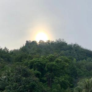 a sun setting over the top of a forest at LUMUN Holiday Home Rental in Penampang