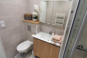 uma casa de banho com um lavatório, um WC e um espelho. em Studio L'élégance Place de Jaude et garage em Clermont-Ferrand