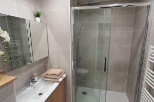 uma casa de banho com um chuveiro, um lavatório e um WC. em Studio L'élégance Place de Jaude et garage em Clermont-Ferrand