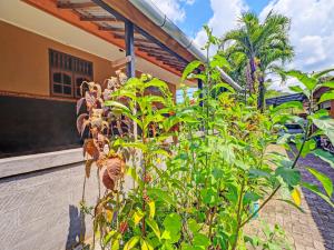 Giardino di SPOT ON 92399 Hotel Sekar Jagat Near Pantai Baluk Rening