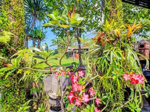 Giardino di SPOT ON 92399 Hotel Sekar Jagat Near Pantai Baluk Rening