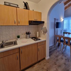 a kitchen with a sink and a counter top at HoFer am Zeitberg Ferienwohnung Falleralm in Bad Kohlgrub