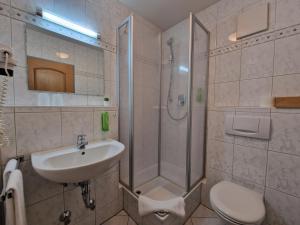 a bathroom with a shower and a sink and a toilet at HoFer am Zeitberg Ferienwohnung Falleralm in Bad Kohlgrub