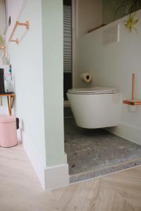 a white bathroom with a toilet in a room at B&B Herenhuis1919 in Lo-Reninge