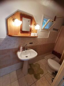 bagno con lavandino, servizi igienici e specchio di Derű-Lak a Fenyőfő