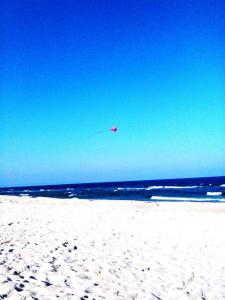 ein Drachen, der am Strand über das Meer fliegt in der Unterkunft Ferienwohnung Zoschke in Baabe