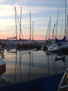 einer Gruppe von Booten, die in einem Yachthafen angedockt sind in der Unterkunft Ferienwohnung Zoschke in Baabe