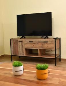 a television on a entertainment center with two potted plants at Zefyros in Samothraki