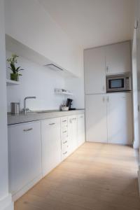 Cucina o angolo cottura di Oostduinkerke Res Henri IV