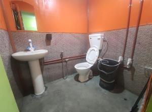 LakeSide Homestay Srinagar في سريناغار: حمام مع مرحاض ومغسلة