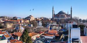 Blick auf eine Stadt mit Moscheen und Gebäuden in der Unterkunft Shining Star Hotel in Istanbul