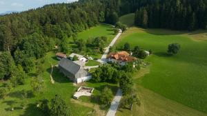 an aerial view of a house in a green field at Eco Tourist Farm Ravnjak in Slovenj Gradec