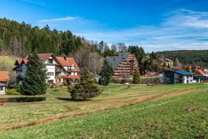 a village with houses and a grassy field at Schwarzwald Wölkchen in Baiersbronn