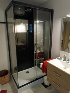 W łazience znajduje się szklana kabina prysznicowa i umywalka. w obiekcie T3 le cristal St Pierre 300m de la plage w mieście Saint-Pierre