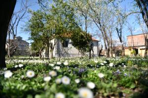 Κήπος έξω από το Nicolaus Hidden Gem Villa