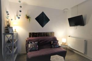een woonkamer met een bank en een tv aan de muur bij Studio cosy au calme in Libourne