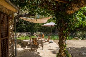 Ein Garten an der Unterkunft Can Company