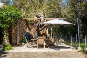 Ein Garten an der Unterkunft Can Company