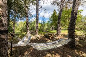 Ein Garten an der Unterkunft Can Company