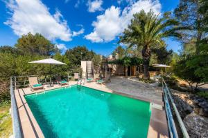 einen Pool im Hinterhof mit einer Palme in der Unterkunft Can Company in Campanet