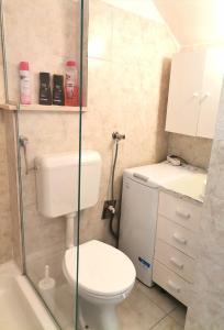 ein Bad mit einem WC und einer Dusche in der Unterkunft Studio Milla in Split