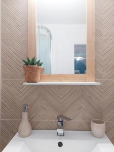 La salle de bains est pourvue d'un lavabo, d'un miroir et d'une plante sur une étagère. dans l'établissement Escale à Épernay: Studio proche du centre ville, à Épernay