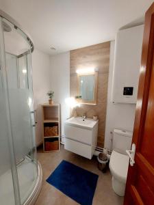 een badkamer met een toilet, een wastafel en een douche bij Escale à Épernay: Studio proche du centre ville in Épernay