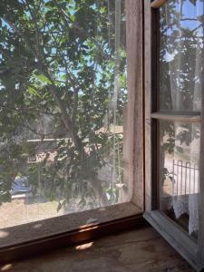 ein Fenster mit Blick auf einen Baum in der Unterkunft CASALE LA BANDITA in La Bandita