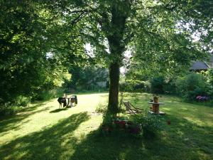 Koń stojący obok drzewa na polu w obiekcie Grange rénovée et son jardin dans l'Avant Pays Savoyard w mieście Champagneux