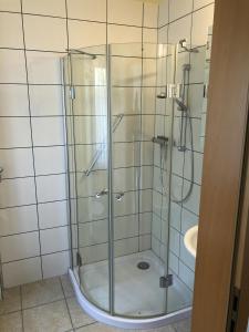 a shower with a glass door in a bathroom at Ferienwohnungen Familie Lang in Pirna
