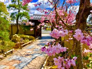 Kadensho, Arashiyama Onsen, Kyoto - Kyoritsu Resort في كيوتو: حديقة بها زهور وردية على شجرة