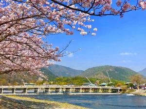 京都的住宿－Kadensho, Arashiyama Onsen, Kyoto - Kyoritsu Resort，一条河上的桥,上面有粉红色的樱花