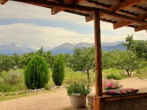 a wooden pergola with a view of a field and trees at Eldos-Ata Eco Hotel in Tossor