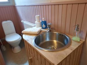 a bathroom with a sink and a toilet at Portaan Nahkurinverstas in Porras