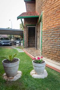 two large pots with flowers in them in a yard at VillaZek a modern 2 bedroom open- plan apartment with parking in Pretoria